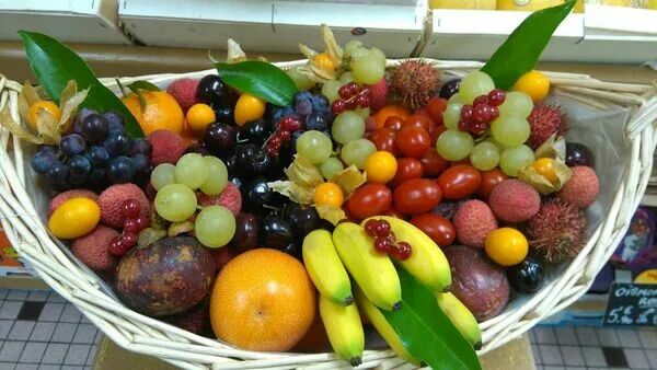 JARDIN DE LIMOURS