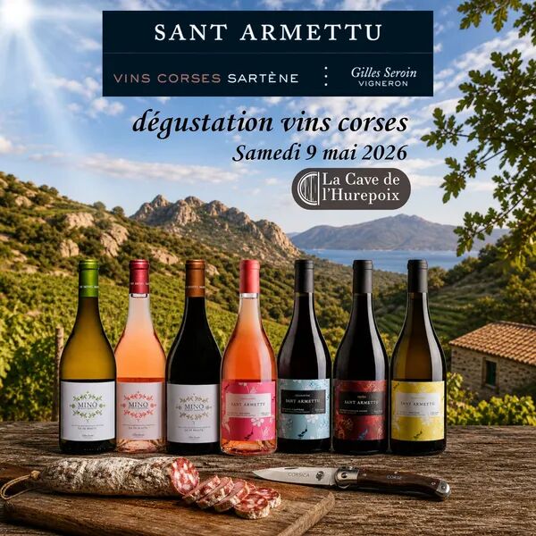 Dégustation vins corses