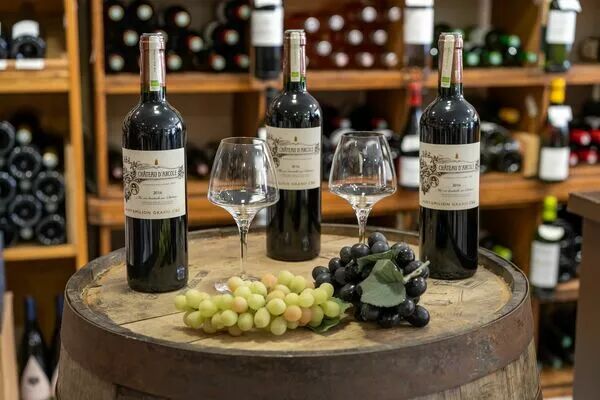 Château d'Arcole Aoc St Emilion Grand Cru 2021